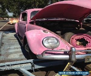 vw beetle very little rust real good restorer