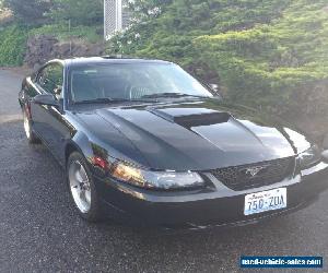 2001 Ford Mustang GT Bullitt for Sale