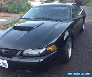 2001 Ford Mustang GT Bullitt