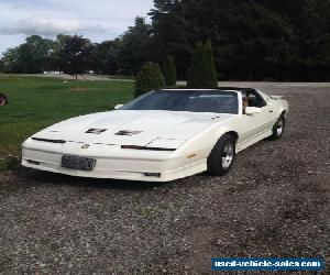 1989 Pontiac Trans Am TTA