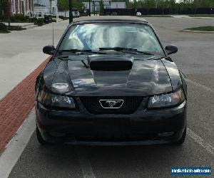 2001 Ford Mustang