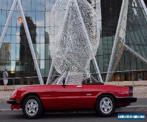 1986 Alfa Romeo Spider