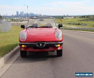 1986 Alfa Romeo Spider