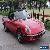 1986 Alfa Romeo Spider for Sale