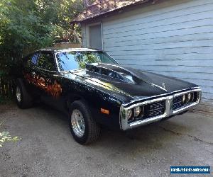 1973 Dodge Charger se