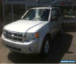 Ford: Escape XLT for Sale