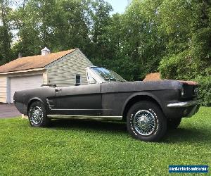 1966 Ford Mustang 66