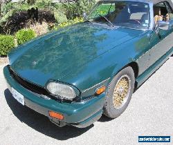 Jaguar: XJS BRG for Sale