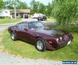 Pontiac: Trans Am Firebird for Sale