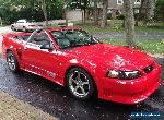 2002 Ford Mustang S/C for Sale