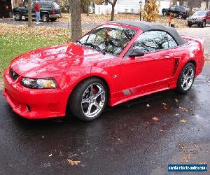 2002 Ford Mustang S/C