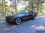 2008 Ford Mustang Bullitt for Sale