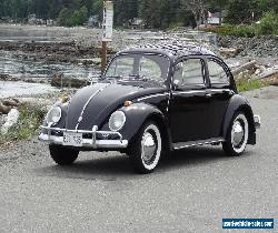 1959 Volkswagen Beetle - Classic for Sale