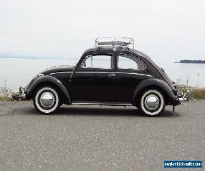 1959 Volkswagen Beetle - Classic