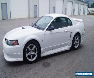 Ford: Mustang ROUSH