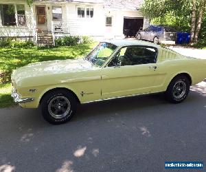 Ford: Mustang 289 2+2