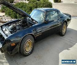 1981 Pontiac Trans Am for Sale