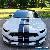 2016 Ford Mustang GT350 for Sale