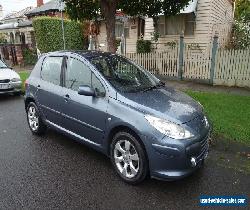 Peugeot 307 SXE Auto 2007 Grey with Leather Interior for Sale