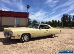 Cadillac: Eldorado 2 door convertible  for Sale