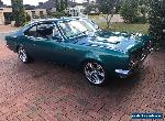 HT MONARO for Sale