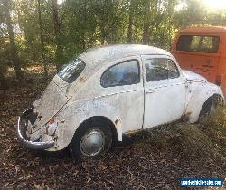 VW 1958 beetle RARE for Sale