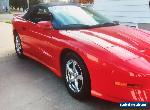 Pontiac: Firebird TRANS AM for Sale