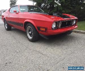 Ford: Mustang Mach 1