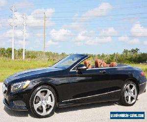 2017 Mercedes-Benz S-Class S 550 Cabriolet