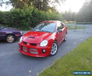 2004 Dodge SRT-4 SRT