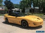 2002 Pontiac Firebird Trans Am - Collector's Edition for Sale