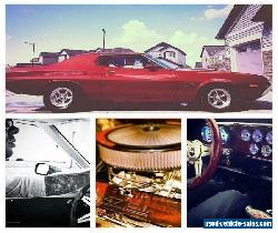 Ford: Torino for Sale