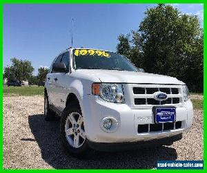 2009 Ford Escape Limited