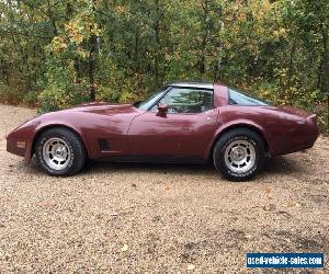 Chevrolet: Corvette 1981 Corvette