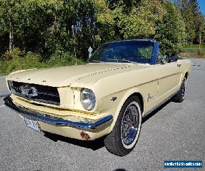 1965 Ford Mustang