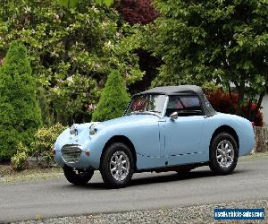 Austin Healey: Sprite for Sale