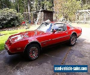 Pontiac 1979 Firebird "REDBIRD"