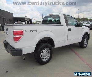 2010 Ford F-150 REGULAR CAB