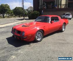 1975 Pontiac Trans Am for Sale