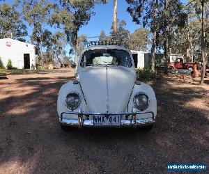 1966 Volkswagen Beetle - Nice Honest Car, Cruiser