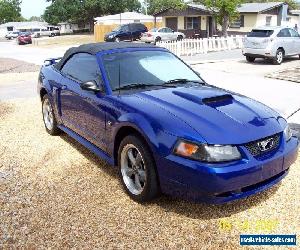 2002 Ford Mustang