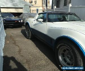 1981 Chevrolet Corvette