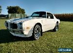 1971 Pontiac Trans Am for Sale