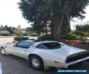 1981 Pontiac Trans Am