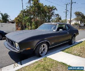 1973 mustang 