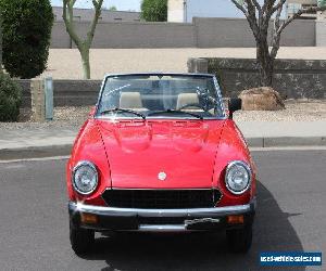 1981 Fiat 124 Spider Spider 2000