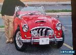 Austin Healey: 3000 BJ7 MARK II for Sale