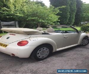 vw cream convertible beetle for Sale