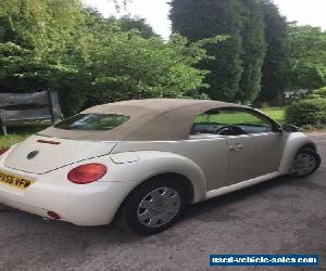 vw cream convertible beetle