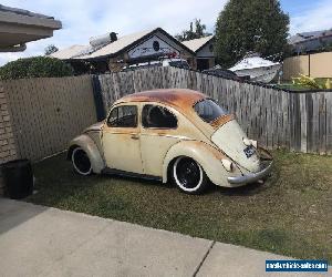 Vw beetle 